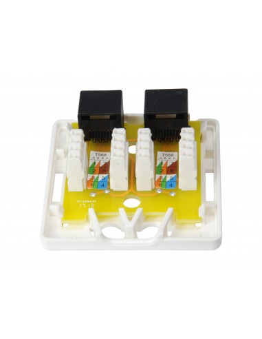 Equip 235214 caja de tomacorriente RJ-45 Blanco