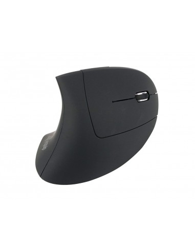 Equip 245110 ratón mano derecha RF inalámbrico Óptico 1600 DPI