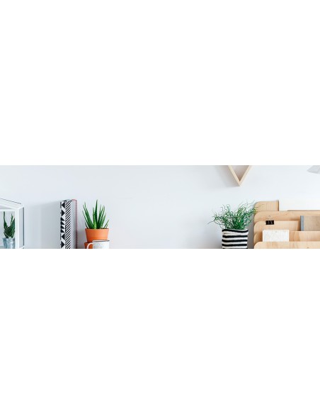 AOC B2 24B2XH EU LED display 60,5 cm (23.8") 1920 x 1080 Pixeles Full HD Negro AOC B2 24B2XH EU LED display 60,5 cm (23.8") 1920 x 1080 Pixeles Full HD Negro