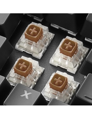 Sharkoon SKILLER SGK60 teclado USB QWERTY Español Negro