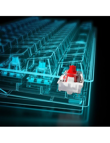 Sharkoon SGK50 S4 teclado USB QWERTY Portugués Negro