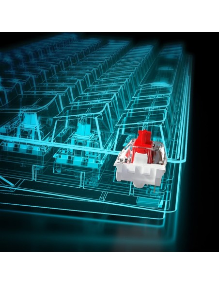 Sharkoon SGK50 S4 teclado USB QWERTY Portugués Negro