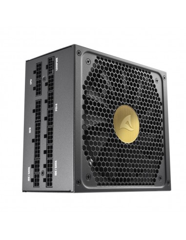 Sharkoon Rebel P30 Gold unidad de fuente de alimentación 1300 W 20+4 pin ATX ATX Negro