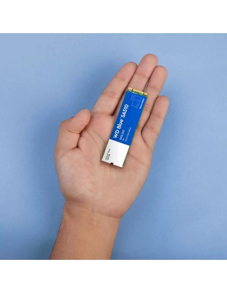 Western Digital Blue SA510 M.2 1 TB Serial ATA III