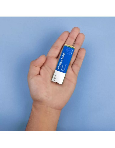 Western Digital Blue SA510 M.2 500 GB Serial ATA III