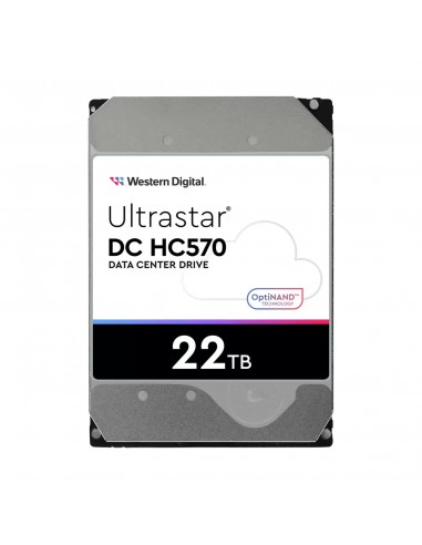 Western Digital Ultrastar DC HC570 3.5" 22 TB Serial ATA III