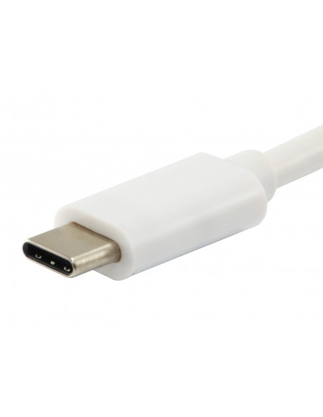 Equip 128352 cable USB 2 m USB 3.2 Gen 2 (3.1 Gen 2) USB C Blanco