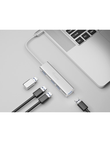 Equip 128958 hub de interfaz USB 3.2 Gen 1 (3.1 Gen 1) Type-C 5000 Mbit s Plata