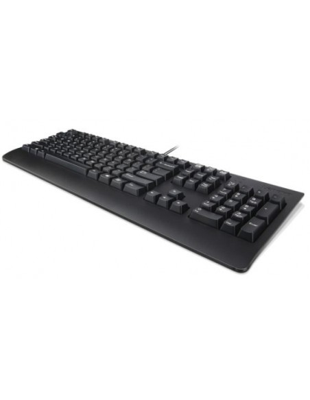 Lenovo Preferred Pro II teclado USB QWERTY Español Negro