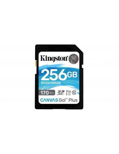 Kingston Technology Canvas Go! Plus 256 GB SD UHS-I Clase 10