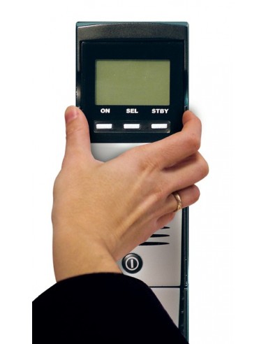 Riello Sentinel Dual sistema de alimentación ininterrumpida (UPS) 1 kVA 900 W 8 salidas AC