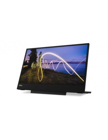 Lenovo ThinkVision M15 LED display 39,6 cm (15.6") 1920 x 1080 Pixeles Full HD Negro