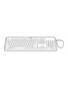 HPE 631348-B21 teclado Ratón incluido USB QWERTY Español Negro