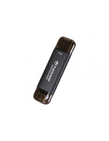 Transcend ESD310C 1 TB Negro