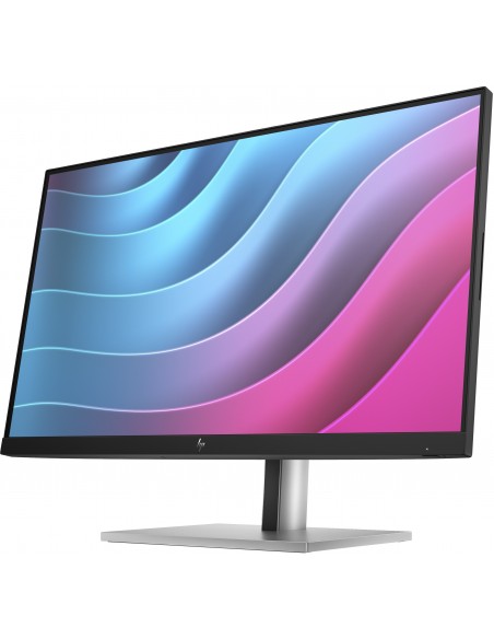 HP E-Series E24 G5 pantalla para PC 60,5 cm (23.8") 1920 x 1080 Pixeles Full HD LED Plata, Negro