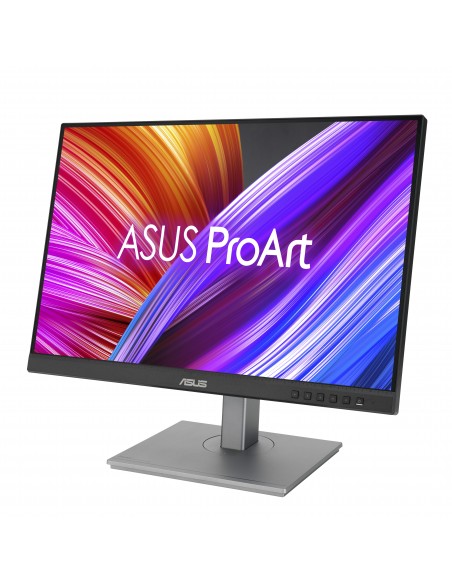 ASUS ProArt PA248CNV pantalla para PC 61,2 cm (24.1") 1920 x 1200 Pixeles Full HD+ Negro