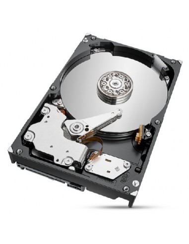 Seagate IronWolf Pro ST2000NT001 disco duro interno 3.5" 2 TB