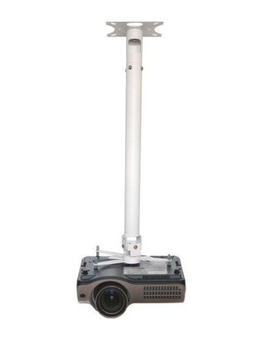 Vision TM-1200 montaje para projector Techo Blanco