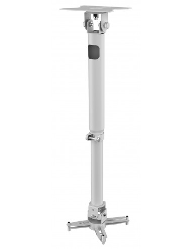 Vision TM-TELE montaje para projector Techo Blanco