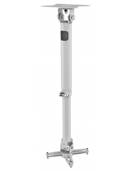 Vision TM-TELE montaje para projector Techo Blanco