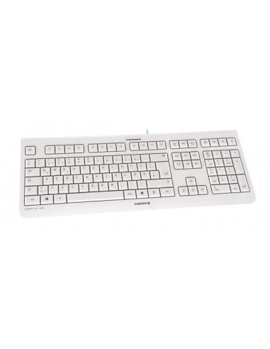 CHERRY KC 1000 teclado USB Español Gris