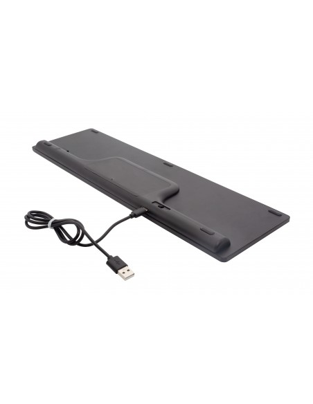 Gembird KBS-ECLIPSE-M500-PT teclado Ratón incluido RF inalámbrico QWERTY Portugués Gris