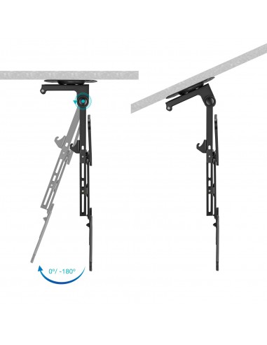 TooQ Soporte de Techo para Pantallas 23"-55", Negro