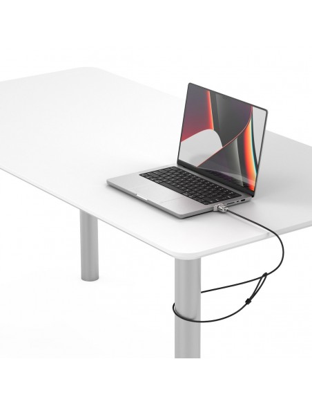 Compulocks MBPR14LDG01 cable antirrobo Plata