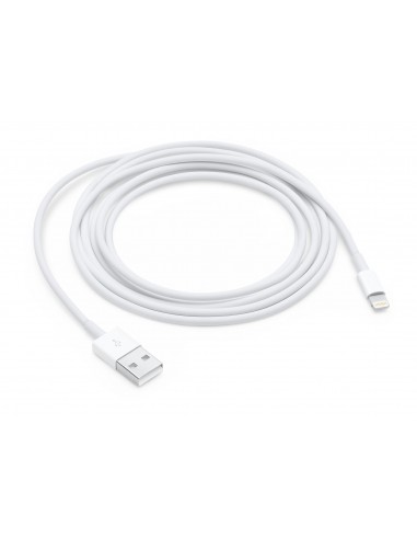 Apple MD819ZM A?ES cable de conector Lightning 2 m Blanco