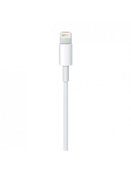 Apple MD819ZM A?ES cable de conector Lightning 2 m Blanco