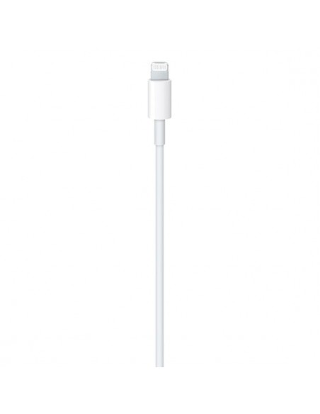 Apple MM0A3ZM A 1 m Blanco