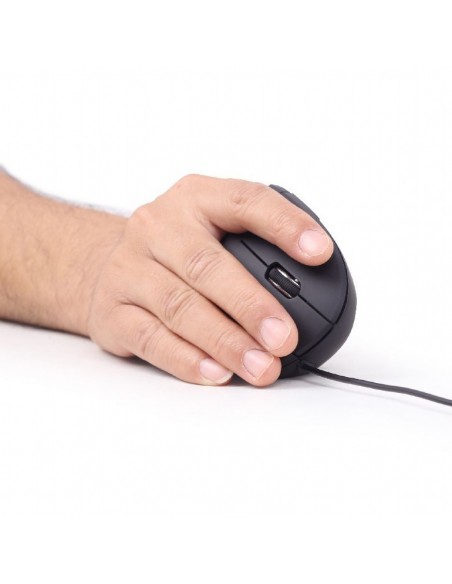 Gembird MUS-ERGO-01 ratón mano derecha USB tipo A Óptico 3200 DPI Gembird MUS-ERGO-01 ratón mano derecha USB tipo A Óptico 3200 DPI