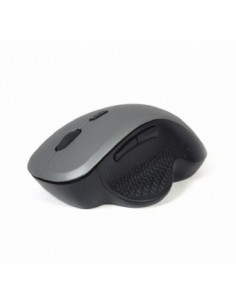 Gembird MUSW-6B-02-BG ratón mano derecha RF inalámbrico Óptico 1600 DPI 2