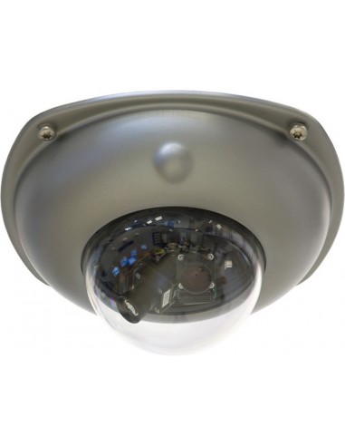 Mobotix MX-D15-VANDAL-ESMA cámaras de seguridad y montaje para vivienda Protectora