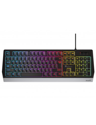 GENESIS RHOD 300 RGB teclado USB Negro