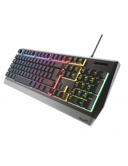 GENESIS RHOD 300 RGB teclado USB Negro