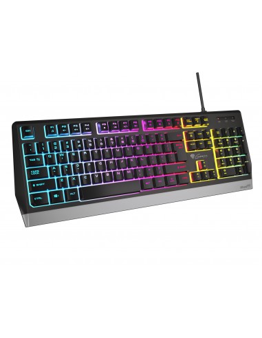 GENESIS RHOD 300 RGB teclado USB Negro