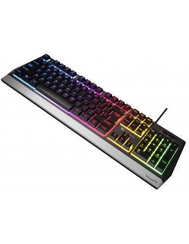 GENESIS RHOD 300 RGB teclado USB Negro