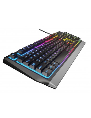 GENESIS RHOD 300 RGB teclado USB Negro