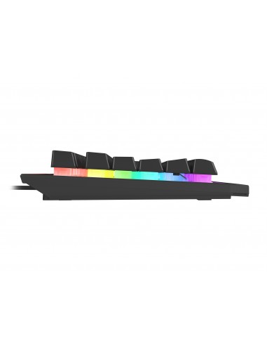 GENESIS Rhod 500 RGB teclado USB QWERTY Inglés de EE. UU. Negro, Plata