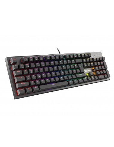 GENESIS Thor 300 RGB teclado USB QWERTY Español Negro