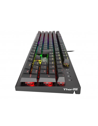 GENESIS Thor 300 RGB teclado USB QWERTY Español Negro