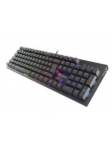 GENESIS Thor 300 RGB teclado USB QWERTY Español Negro