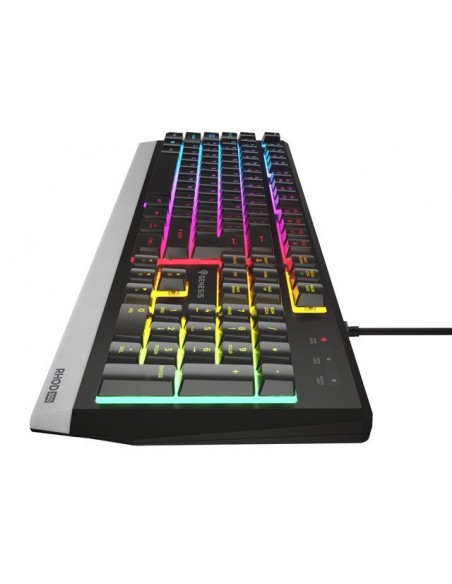 GENESIS NKG-1817 teclado USB QWERTY Portugués