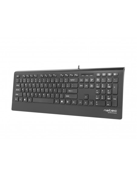 NATEC Barracuda teclado USB QWERTY Español Negro
