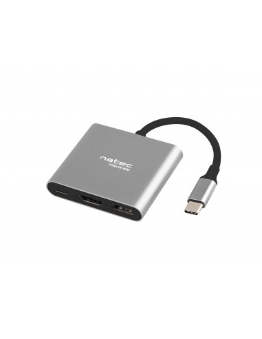 NATEC Fowler Mini USB 2.0 Type-C Gris