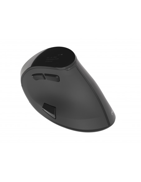 NATEC Euphonie ratón mano derecha Bluetooth Óptico 2400 DPI
