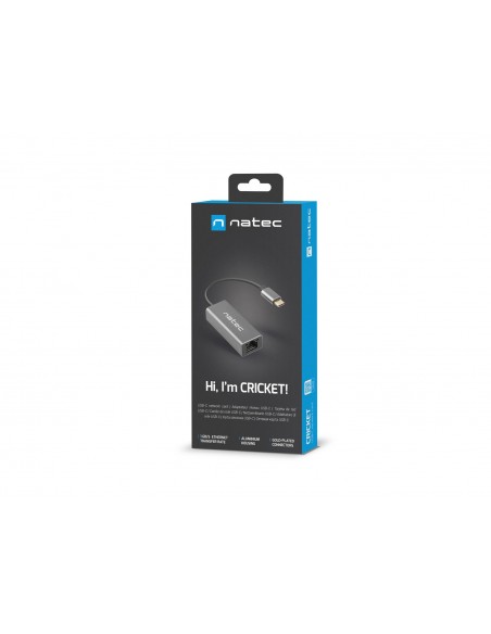 NATEC Cricket USB 3.2 Gen 1 (3.1 Gen 1) Type-C Gris