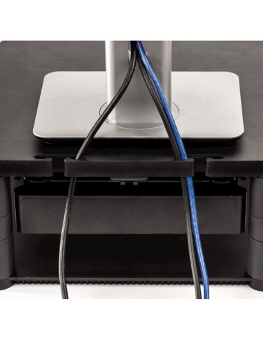 Fellowes 9169501 soporte para monitor 53,3 cm (21") Grafito Escritorio