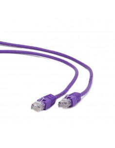 Gembird RJ45 RJ45 Cat5e 0.5m cable de red Púrpura 0,5 m U UTP (UTP)